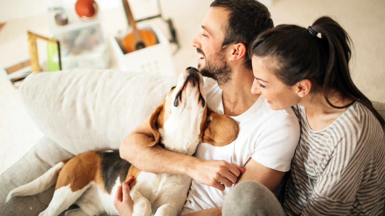 A couple with a dog in a household. Pets in the house can necessitate more frequent air filter changes.