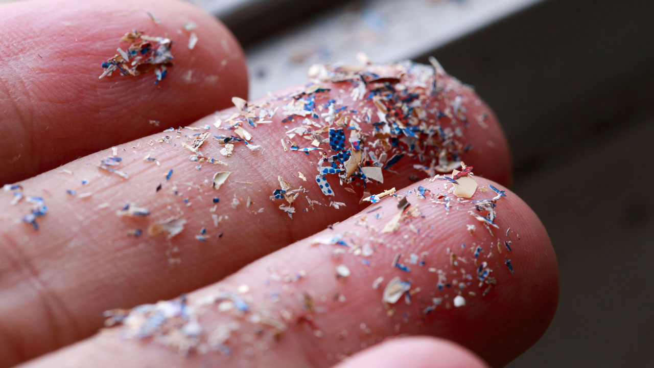 Three fingers close up showing tiny fragments of colorful plastic.