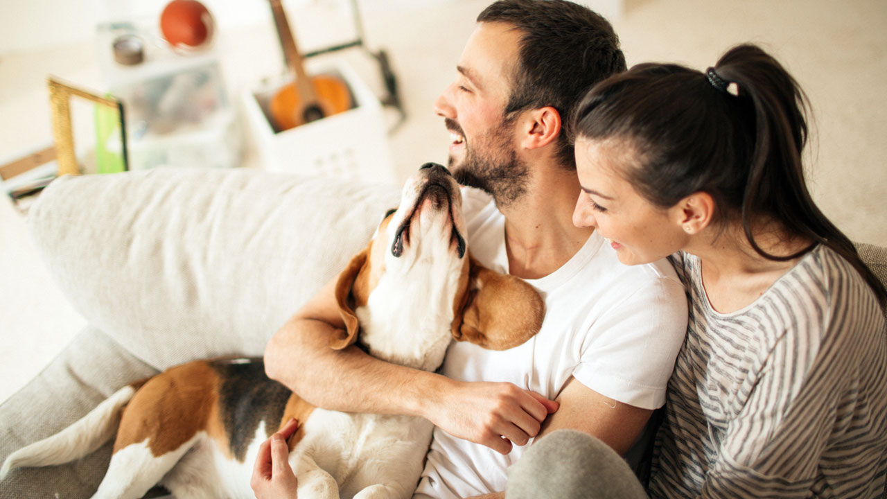 A man and woman with their dog on a couch