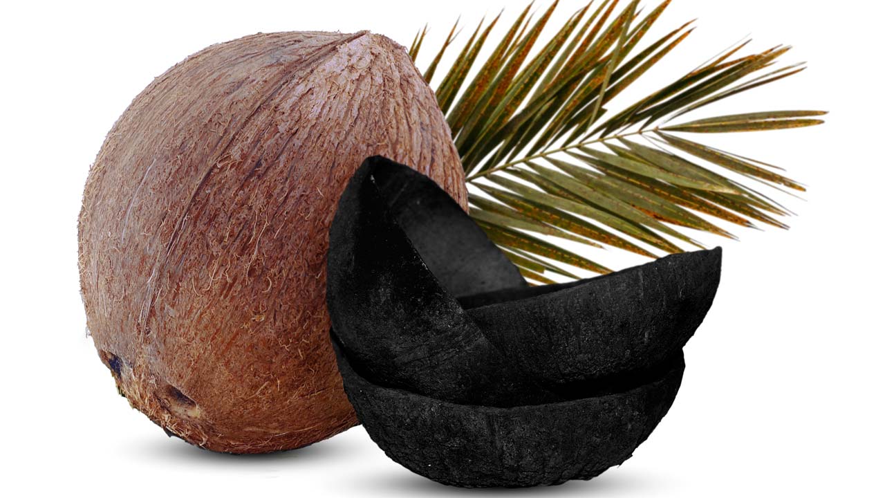 Coconut and charred coconut shell a source of carbon filtration media