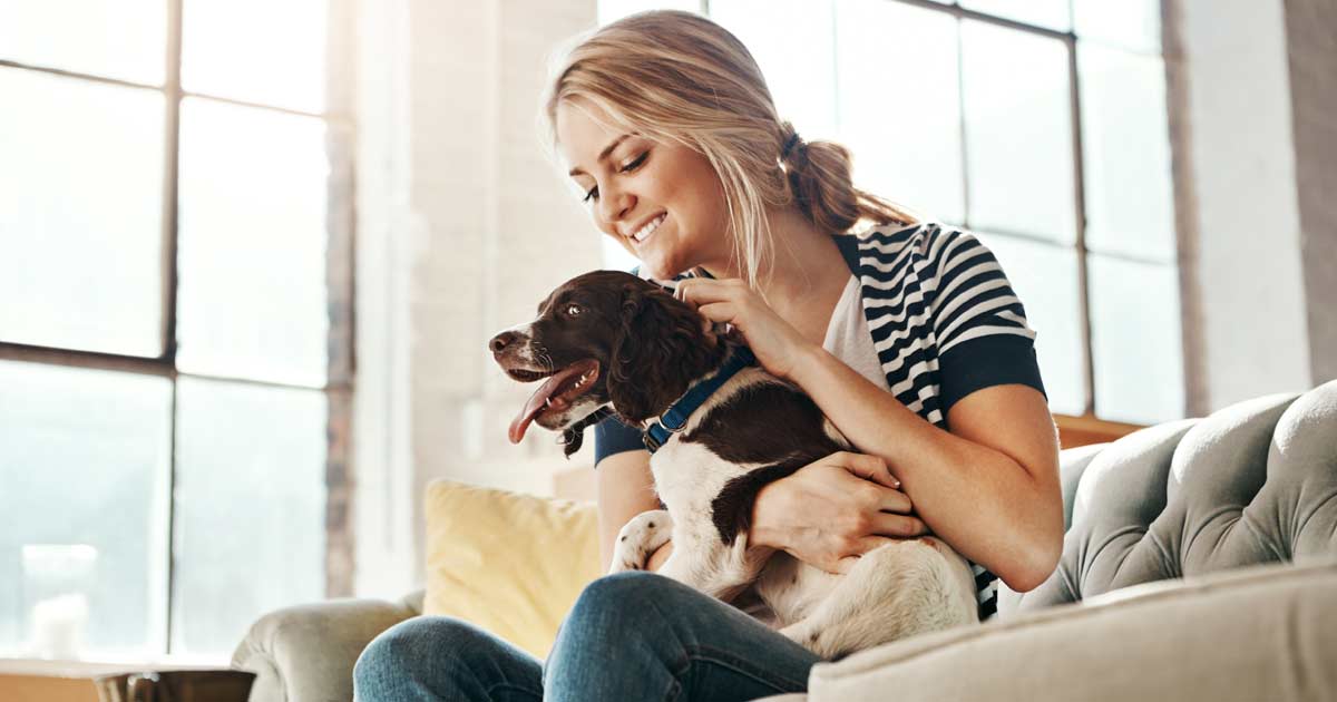 A pet owner with her furbaby doggo, an English Springer Spaniel, on a couch in a home with clean air